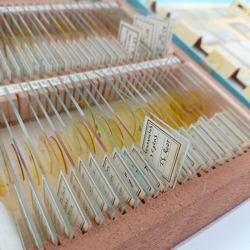 974 - Assorted microscope slides, in two cases