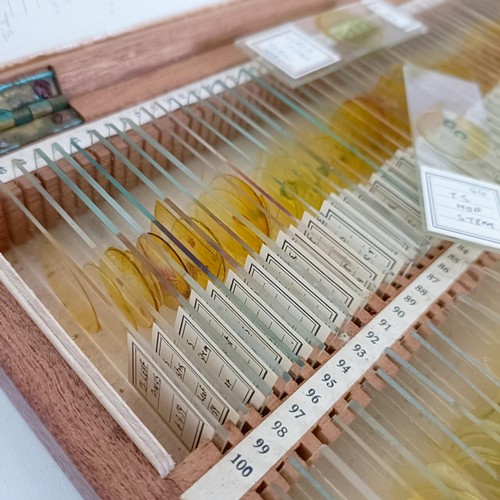 974 - Assorted microscope slides, in two cases