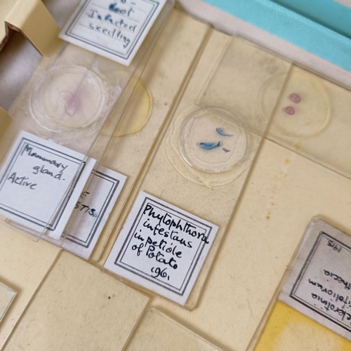 974 - Assorted microscope slides, in two cases