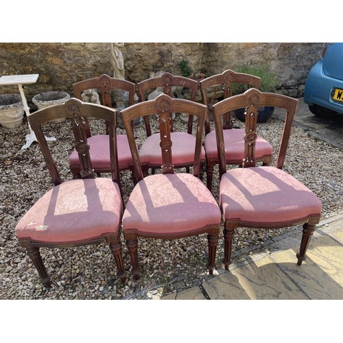 1082 - A set of six mahogany dining chairs, with padded seats (6)