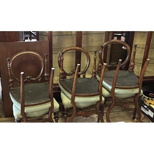 1018 - A set of six walnut balloon back dining chairs (6)