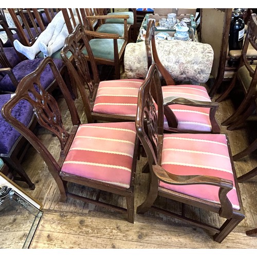 1029 - A set of six Chippendale style dining chairs (4+2), and a pair of mahogany dining chairs (8)