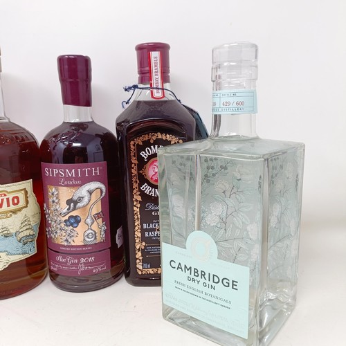 1226 - A bottle of Warner's gin, a bottle of Cambridge gin, and other gins (6)