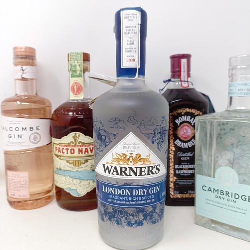 1226 - A bottle of Warner's gin, a bottle of Cambridge gin, and other gins (6)