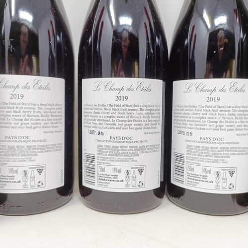 1276 - Seven bottles of Le Champ Des Etoiles Pinot Noir, 2019 (7)