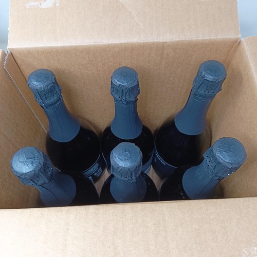 1297 - Six bottles of Bird In Hand sparkling Pinot Noir, 2018, and six others, 2019 (12)