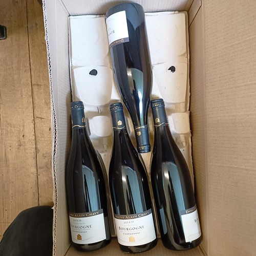 1304 - Ten bottles of Bourgogne Chardonnay, Domaine Alain Chavy, 2019 (10)