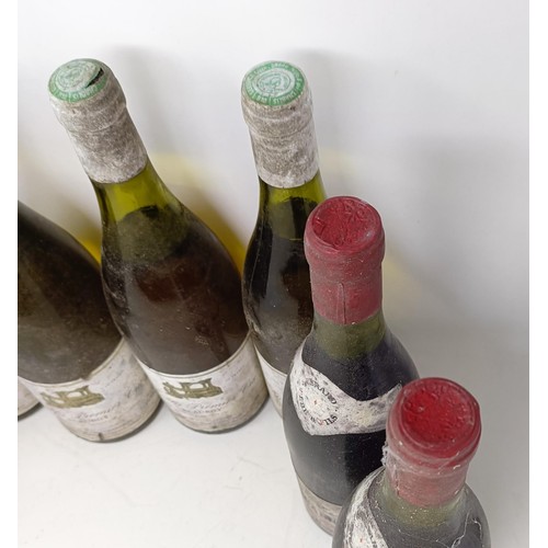 1361 - Four bottles of Chablis, and four other bottles (8)