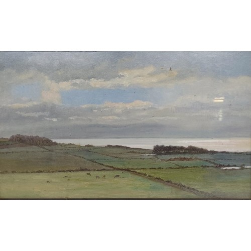 1019 - 20th century, English school, a landscape, oil on board, 26 x 43 cmProvenance: On instructions of th... 