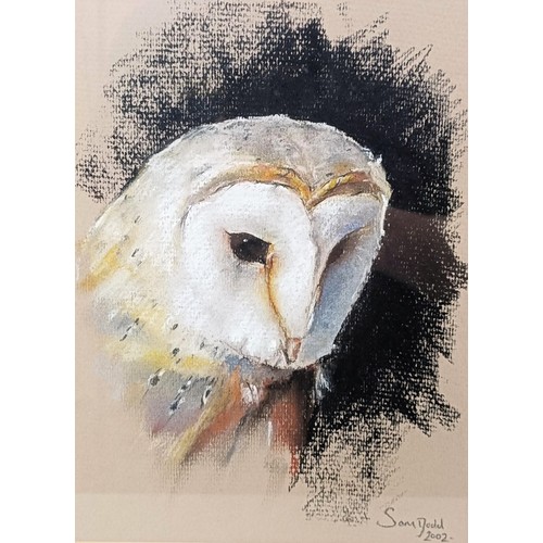 611 - Sonia Dodel, study of a barn owl, pastel, signed and dated 2002, 26 x 18 cm, and another study of an... 