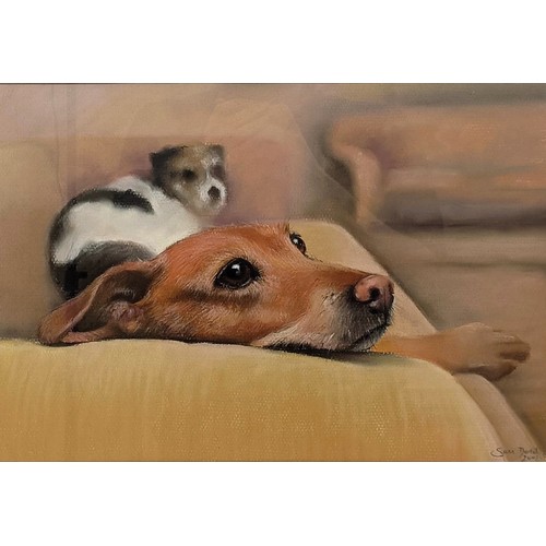 612 - Sam Dodd, two dogs on a sofa, signed and dated 2002, 28 x 40 cm