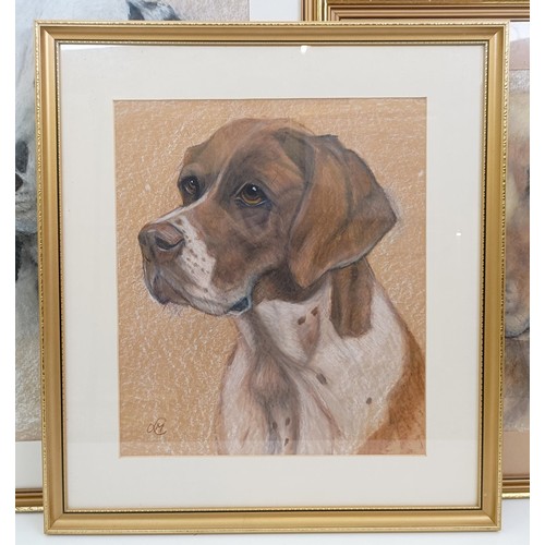 644 - English school, two dalmatians, pastel, monogrammed OCM dated 1981, 53 x 57 cm, a hound, pastel, 37 ... 