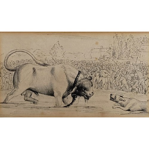 665 - Attributed to John Henry Campbell (1757-1828), a bull and dog fight, pen and ink, 9 x 15 cm