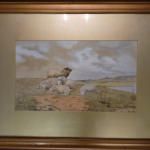 692 - Early 20th century, English school, sheep resting, watercolour, 21 x 35 cm