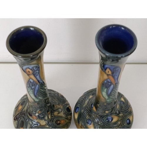 385 - A pair of Moorcroft vases, decorated peacocks, 20 cm high