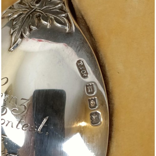 13 - A Tiffany & Co silver presentation spoon, cased 1.8 ozt,