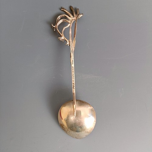 223 - An Australian silver naturalistic spoon, in a John Harris box