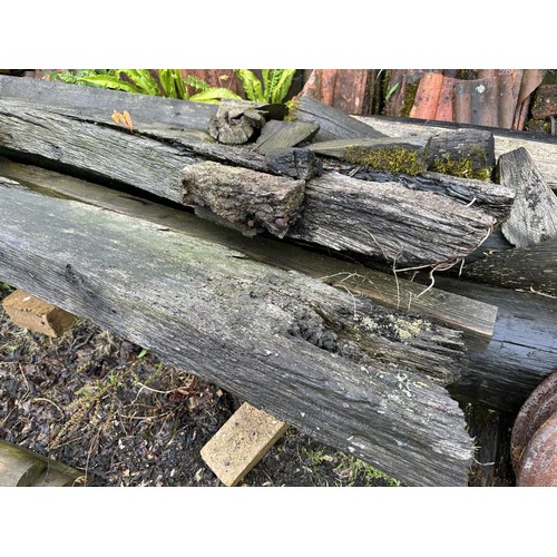 40 - A group of telegraph poles and other timber