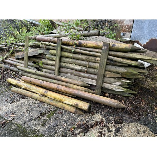 41 - A large group of fencing posts