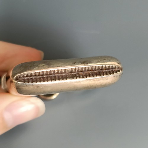 242 - A late Victorian Scottish silver vesta case, Edinburgh 1902