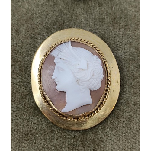 752 - A cameo brooch, in a yellow metal mount, and assorted other cameo jewellery