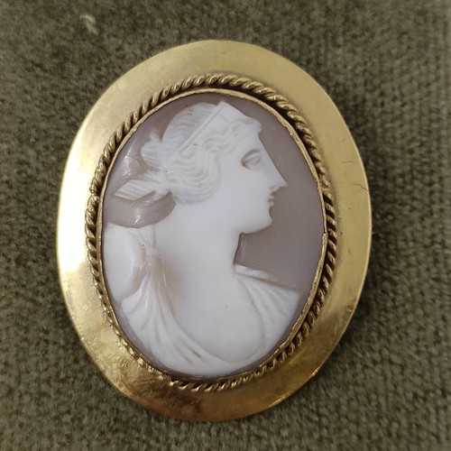 752 - A cameo brooch, in a yellow metal mount, and assorted other cameo jewellery