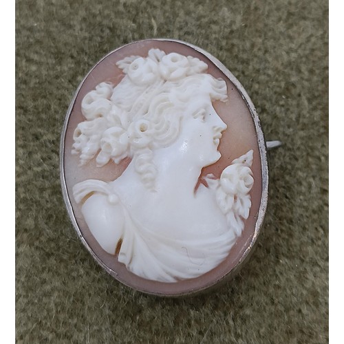 752 - A cameo brooch, in a yellow metal mount, and assorted other cameo jewellery