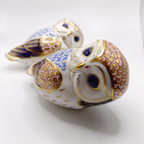 1025 - A pair of Royal Crown Derby paperweights, in the form of owls (2)