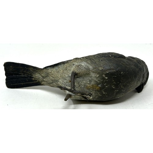 1135 - A cold painted bronze figure of a bird, lacking a foot, 15 cm wide