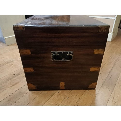 1389 - A camphorwood and brass bound trunk, 103 cm wide