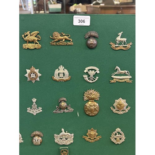 306 - A collection of military badges, including Scottish and Irish regiments, mounted on a board