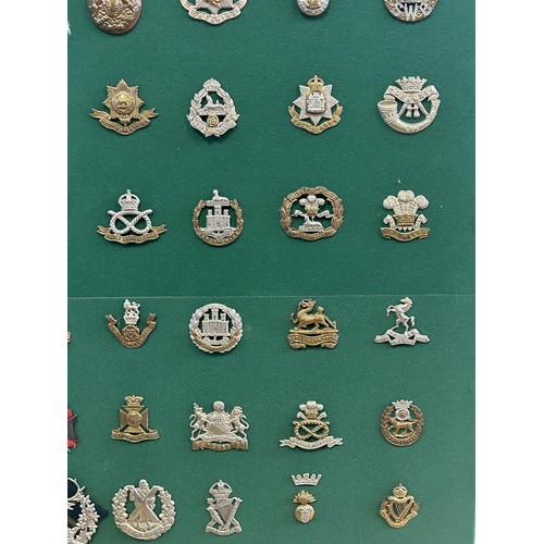 306 - A collection of military badges, including Scottish and Irish regiments, mounted on a board