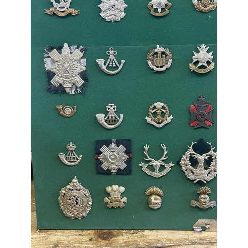 306 - A collection of military badges, including Scottish and Irish regiments, mounted on a board