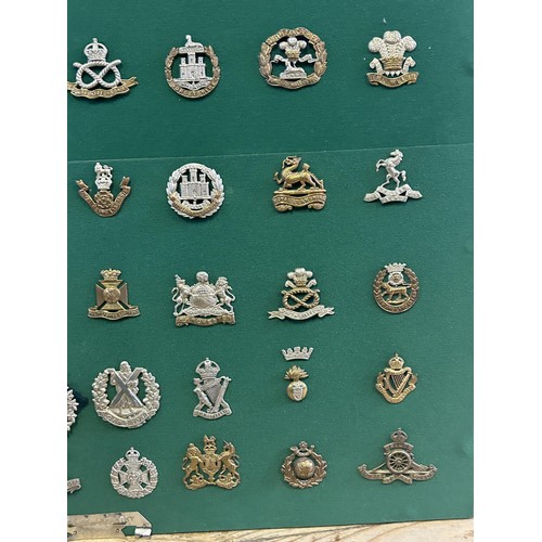 306 - A collection of military badges, including Scottish and Irish regiments, mounted on a board