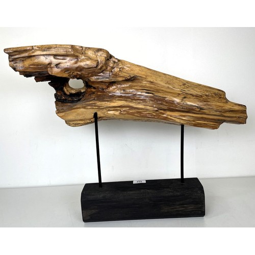 552 - A piece of driftwood, mounted, 85 cm wide