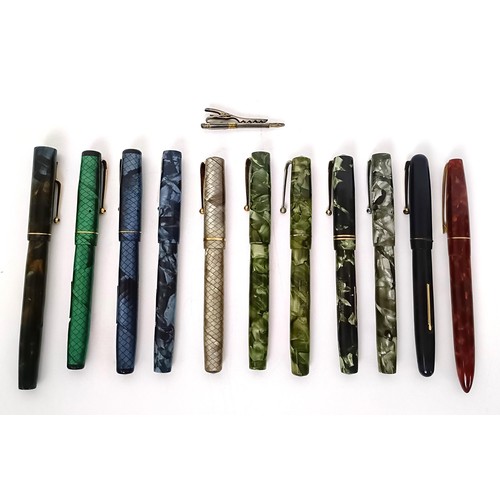 651 - A Black Bird fountain pen, and assorted other fountain pens