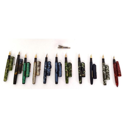 651 - A Black Bird fountain pen, and assorted other fountain pens