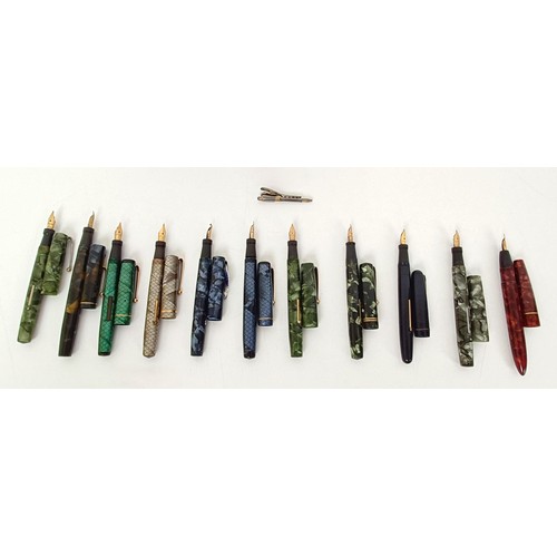 651 - A Black Bird fountain pen, and assorted other fountain pens