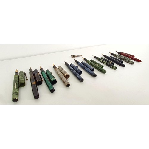 651 - A Black Bird fountain pen, and assorted other fountain pens