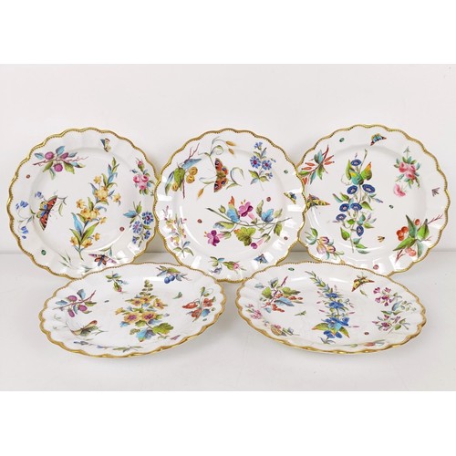 595 - A set of five cabinet plates, decorated flowers and insects, 22 cm diameter (5)