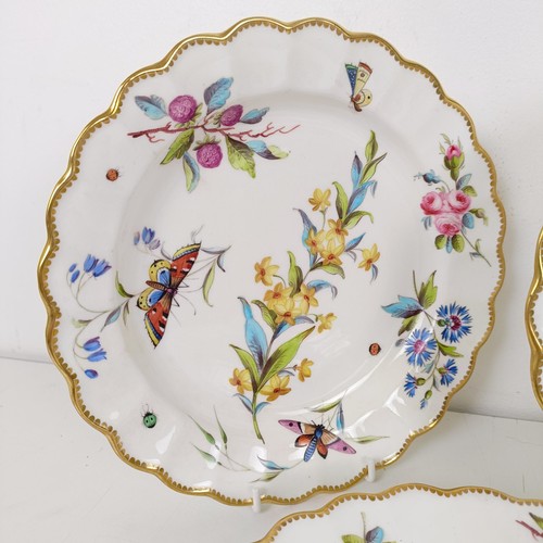 595 - A set of five cabinet plates, decorated flowers and insects, 22 cm diameter (5)