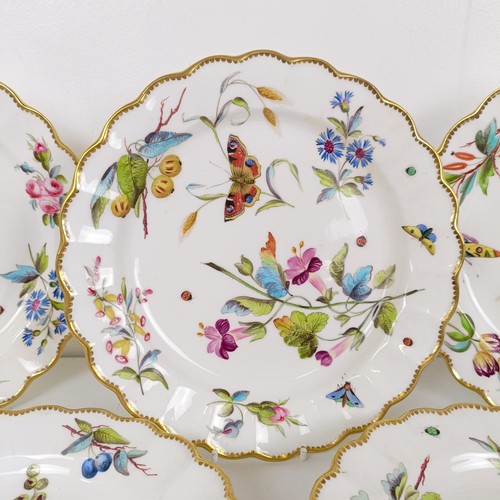 595 - A set of five cabinet plates, decorated flowers and insects, 22 cm diameter (5)