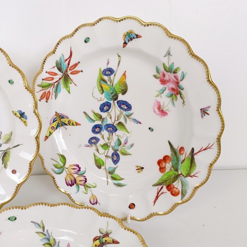 595 - A set of five cabinet plates, decorated flowers and insects, 22 cm diameter (5)