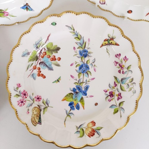 595 - A set of five cabinet plates, decorated flowers and insects, 22 cm diameter (5)