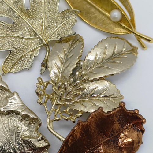 801 - A gilt metal leaf brooch, and four others (5)