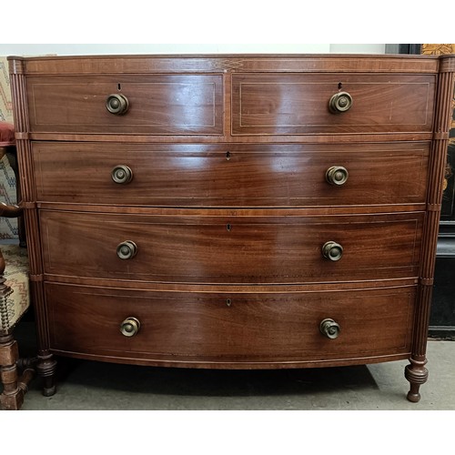 1057 - A mahogany bow front chest, having two short and three long drawers, 127 cm wide