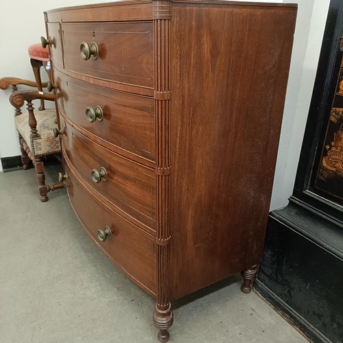 1057 - A mahogany bow front chest, having two short and three long drawers, 127 cm wide