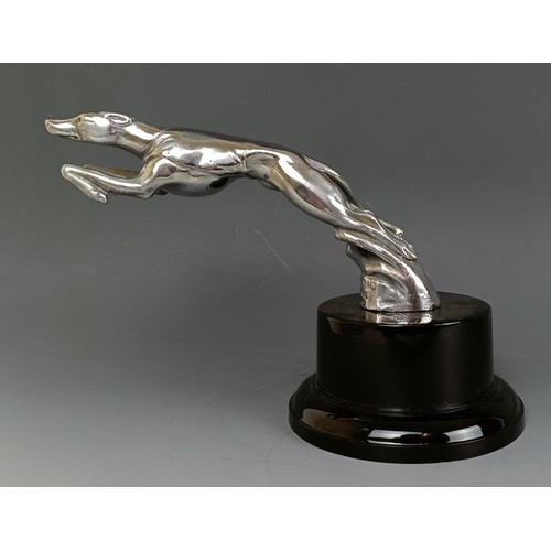 412 - A rare AC Greyhound factory mascot, by Louis Lejeune, 1930s, nickel plated and marked Greyhound of t... 