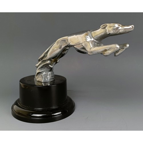 412 - A rare AC Greyhound factory mascot, by Louis Lejeune, 1930s, nickel plated and marked Greyhound of t... 