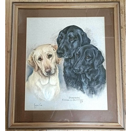 654 - Marjorie Cox, pet portrait, Duchess, Emma and Button, pastel, signed and dated 1978, 53 x 45 cm